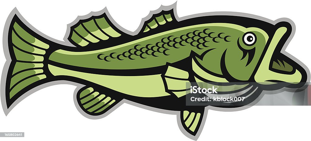 Largemouth Bass A side view illustration of a largemouth bass. Largemouth Bass stock vector