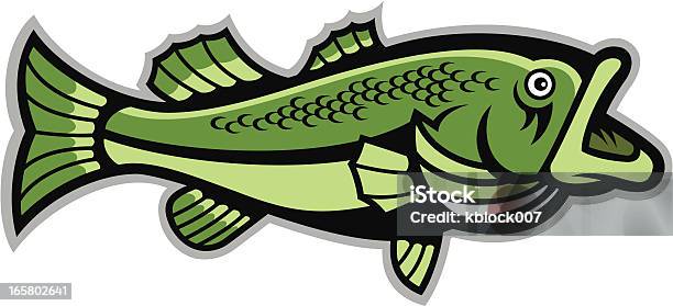 Largemouth Bass Stock Illustration - Download Image Now - Largemouth Bass, Animal, Animal Fin