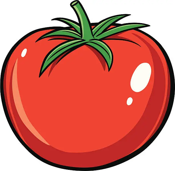 Vector illustration of Tomato