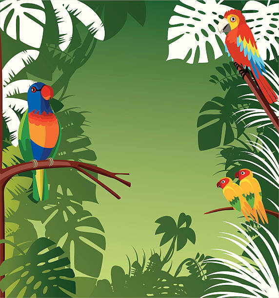 illustrazioni stock, clip art, cartoni animati e icone di tendenza di sfondo tropicale - island of borneo