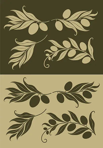 Vector illustration of Olive Branch  Silhouette on Background