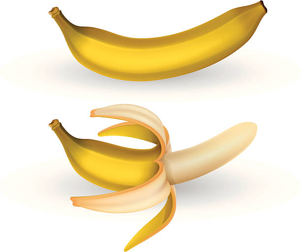 ilustrações, clipart, desenhos animados e ícones de banana - banana peeled banana peel white background