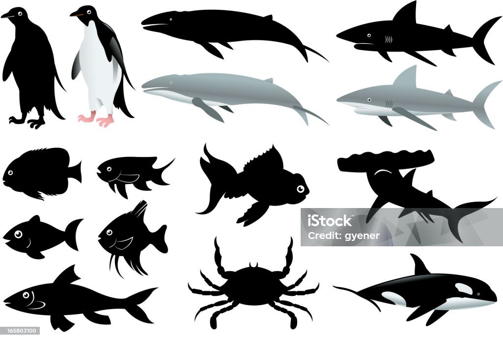 sea creatures collection drawn of vector sea creatures set. Illustration stock vector