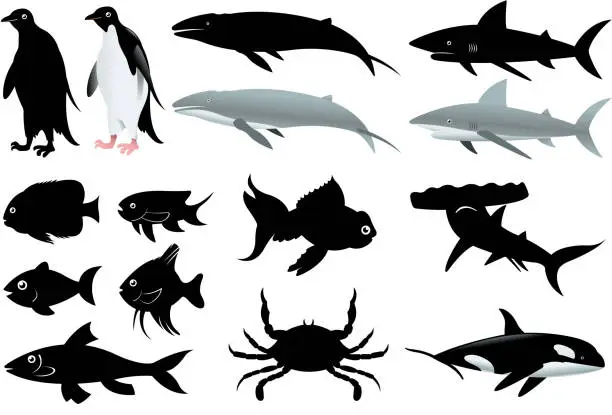 Vector illustration of sea creatures collection