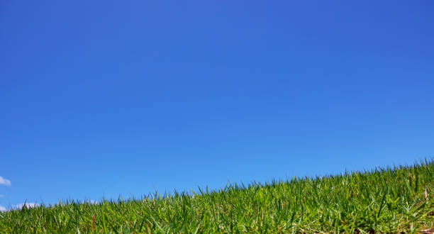 istock beautiful blue sky and lawn 1658039902