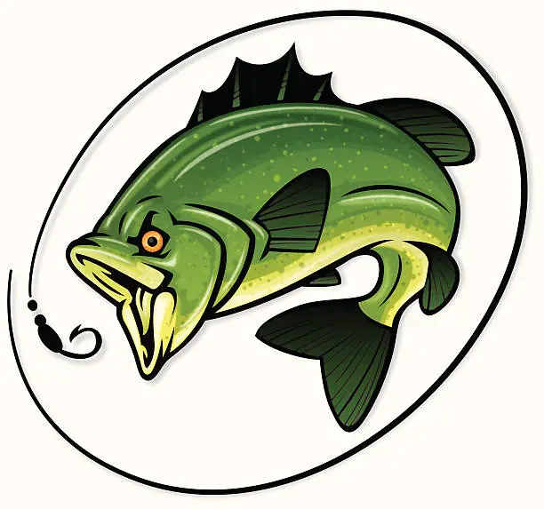 Vector illustration of detailed bass illustration