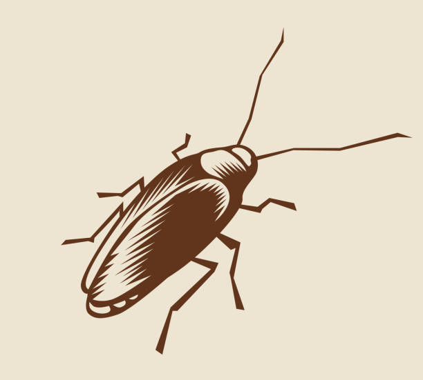 Woodcut cockroach.