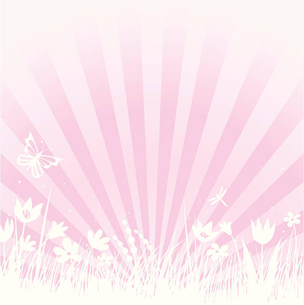 ilustraciones, imágenes clip art, dibujos animados e iconos de stock de resorte en rosa - daffodil flower silhouette butterfly