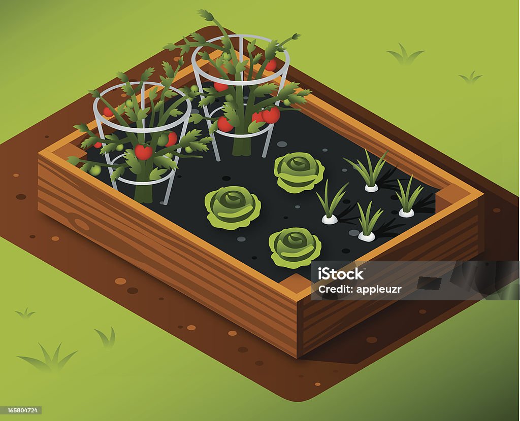 Ogród warzywny z pomidory, sałata i czosnku - Grafika wektorowa royalty-free (Ogród warzywny)