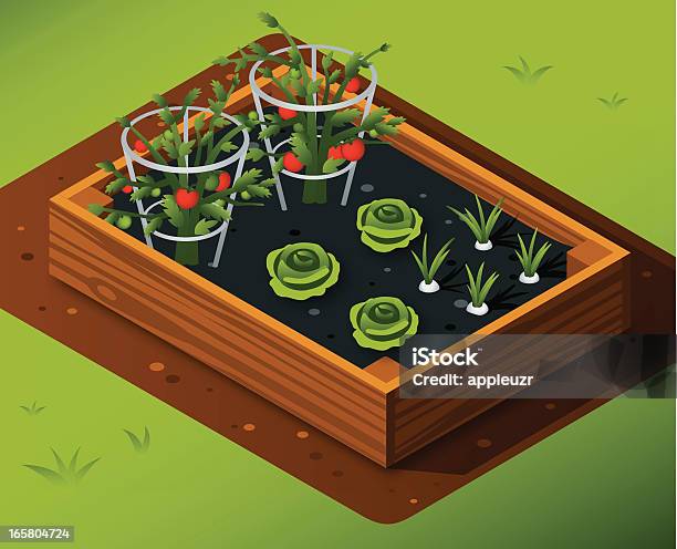 Ogród Warzywny Z Pomidory Sałata I Czosnku - Stockowe grafiki wektorowe i więcej obrazów Ogród warzywny - Ogród warzywny, Kwietnik, Rzut izometryczny