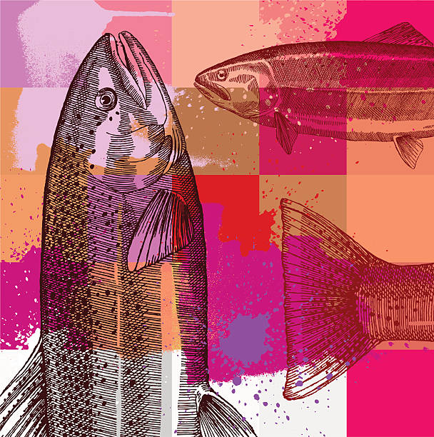 An artistic fishing grunge design Fishing Grunge Design, Very detailed - vector illustration trout illustrations stock illustrations