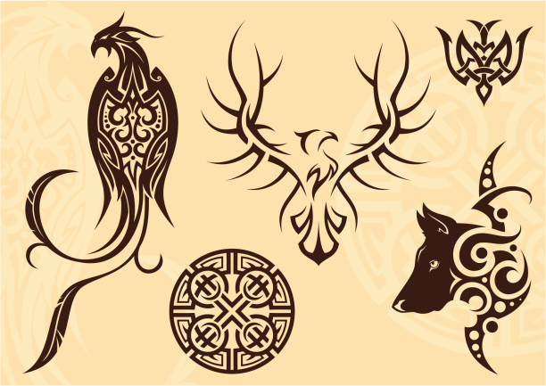 ilustraciones, imágenes clip art, dibujos animados e iconos de stock de tatuaje de - feather peacock ornate vector