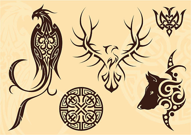 ilustrações, clipart, desenhos animados e ícones de conjunto de tatuagem - feather peacock ornate vector