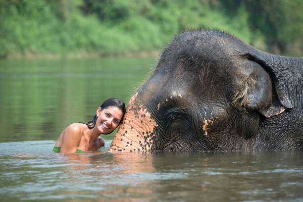 istock Woman bathing with an Elephant, Tropical Rain Forest 165804932