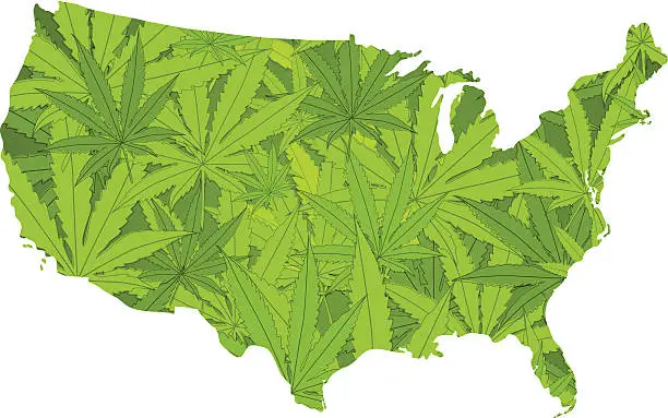 Vector illustration of United States made of marijuana