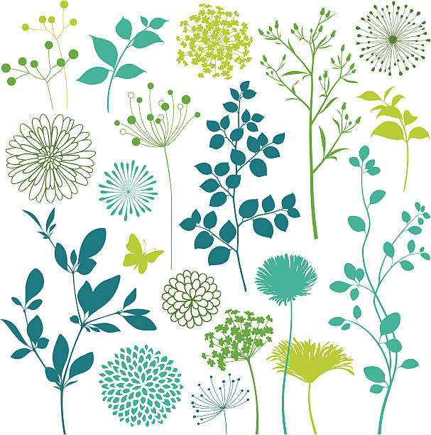Flower and Leaf Design Elements Flower, leaf, and butterfly elements. Hi res jpeg included.Scroll down to see more of my illustrations linked below. growth silhouettes stock illustrations