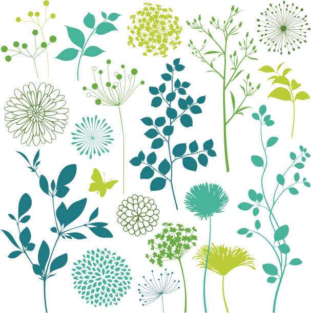 Flower and Leaf Design Elements Flower, leaf, and butterfly elements. Hi res jpeg included.Scroll down to see more of my illustrations linked below. spring time flowers stock illustrations