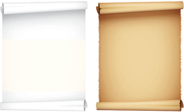 White and brown scroll side by side vector art illustration