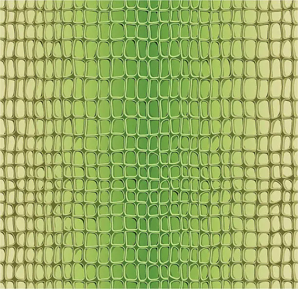 Vector illustration of Alligator seamless pattern