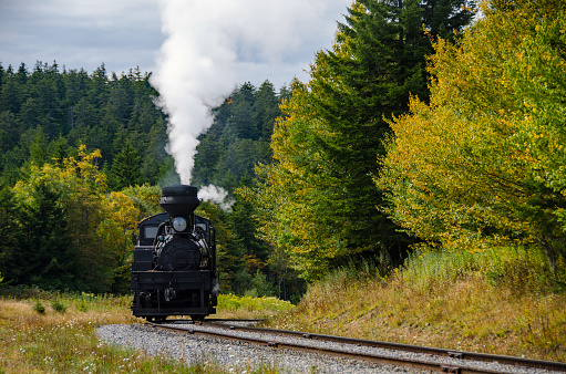 Cass Scenic Railroad SP - Narrow Gauge Locomotive at Bald Knob