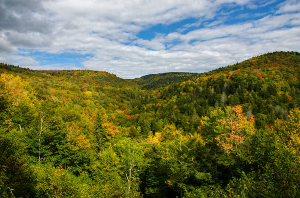 istock Cass Scenic Railroad SP - Colorful View from the Train 1658065199