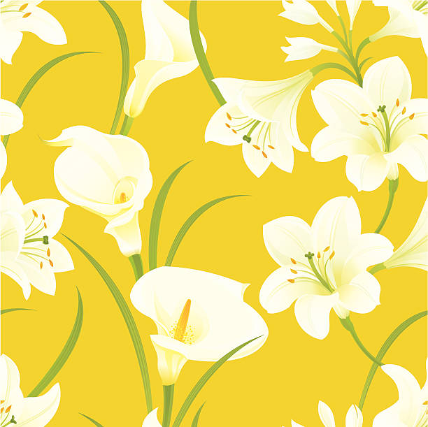 illustrazioni stock, clip art, cartoni animati e icone di tendenza di motivo le calle pasqua - lily calla lily flower single flower