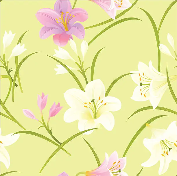 Vector illustration of Pink and White Lilies Pattern