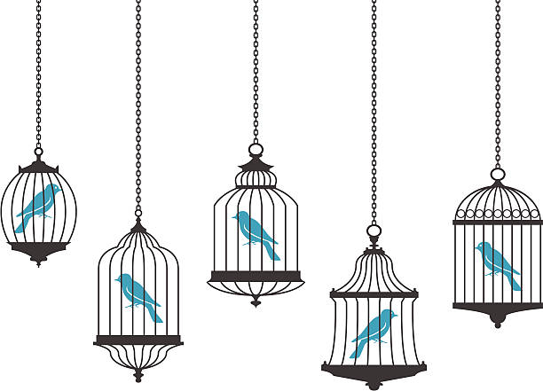 vögel in käfigen - birdcage stock-grafiken, -clipart, -cartoons und -symbole