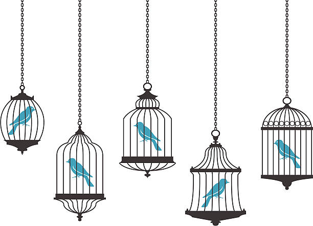 Vector graphics of birds in hanging cages Bluebirds in bird cages. JPG (5587x3931px), PDF, PNG (transparent background) and AI files available in zip file. cage stock illustrations