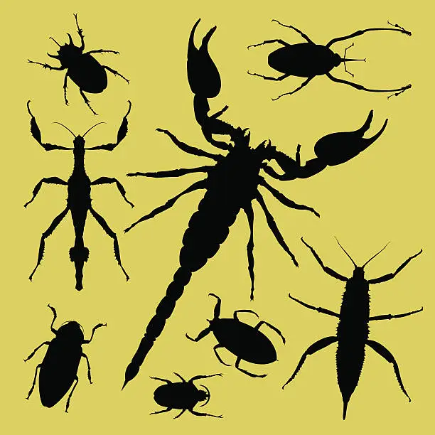 Vector illustration of Insect Silhouettes