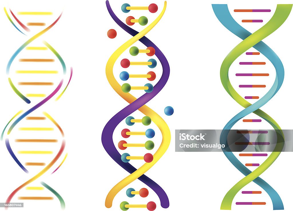 DNA - Vetor de DNA royalty-free