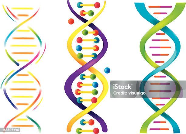 Vetores de Dna e mais imagens de DNA - DNA, Hélice - Formas Geométricas, Modelo de Hélice