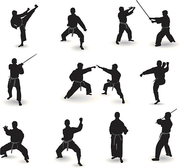 잘 알려진 무술 - karate kicking tae kwon do martial stock illustrations