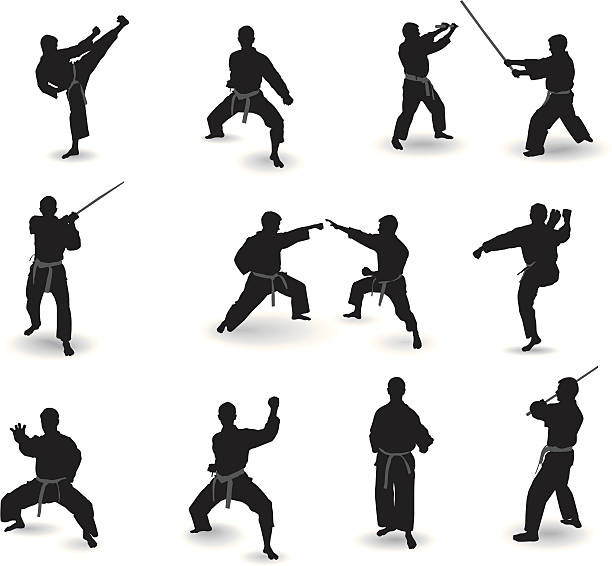 ilustrações de stock, clip art, desenhos animados e ícones de conhecido artes marciais - extreme sports karate sport exercising