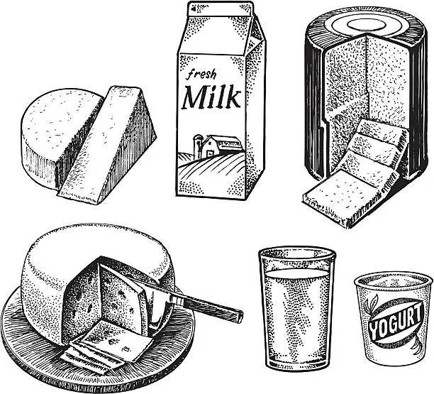 Vector illustration of Dairy Items - Milk, Cheese, Yogurt
