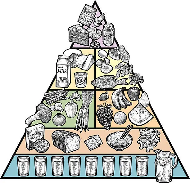 Vector illustration of Food Pyramid