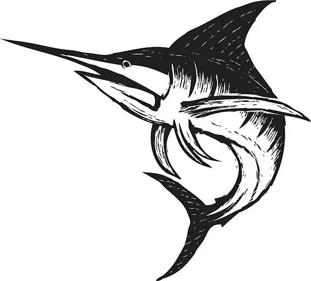 Vector illustration of sketchy marlin