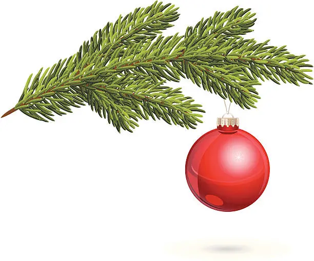 Vector illustration of Christmas tree twig with red bauble