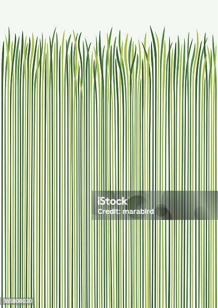 Трава Design — стоковая векторная графика и другие изображения на тему Трава - Трава, Росток - Стадия развития растения, Абстрактный