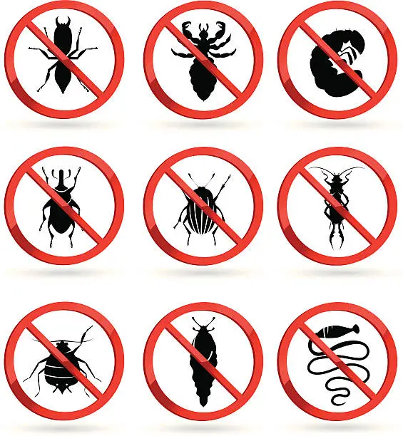 Vector illustration of harmful insects
