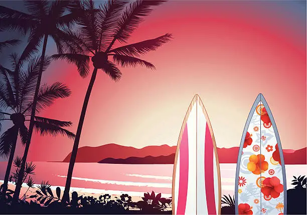 Vector illustration of Tropical sunset