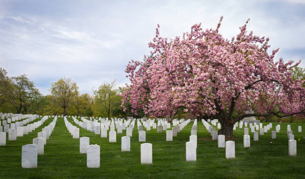 Arlington National Cemetery Arlington National Cemetery arlington cemetery in spring stock pictures, royalty-free photos & images