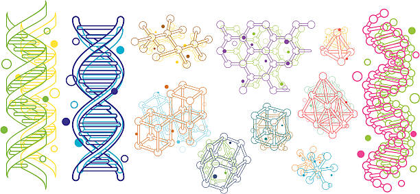 molekülstruktur - helixmodell stock-grafiken, -clipart, -cartoons und -symbole