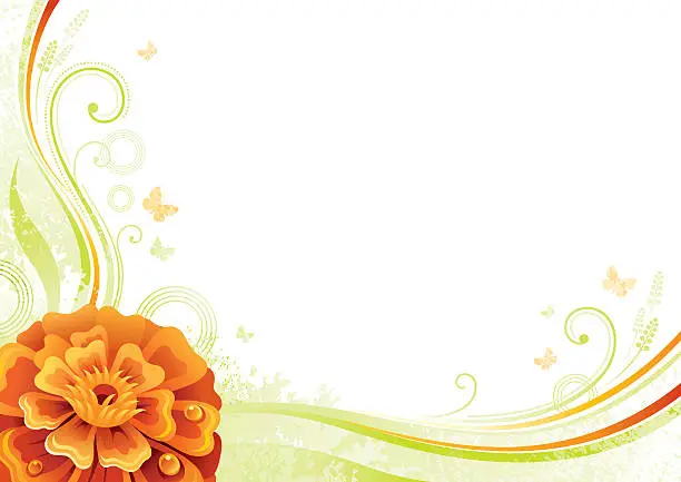 Vector illustration of Flower background with copyspace: orange Marigold