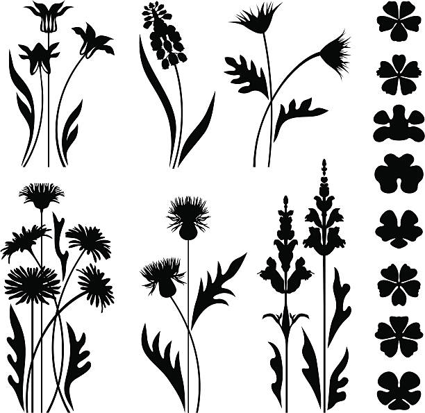 Wild and garden flowers Collection of decorative flowers and flower heads. lily of the valley garden stock illustrations