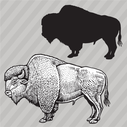 Pen and ink and silhouette drawings of a buffalo. Check out my 