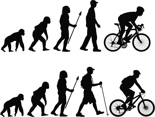 эволюция велосипедистом - mountain biking silhouette cycling bicycle stock illustrations