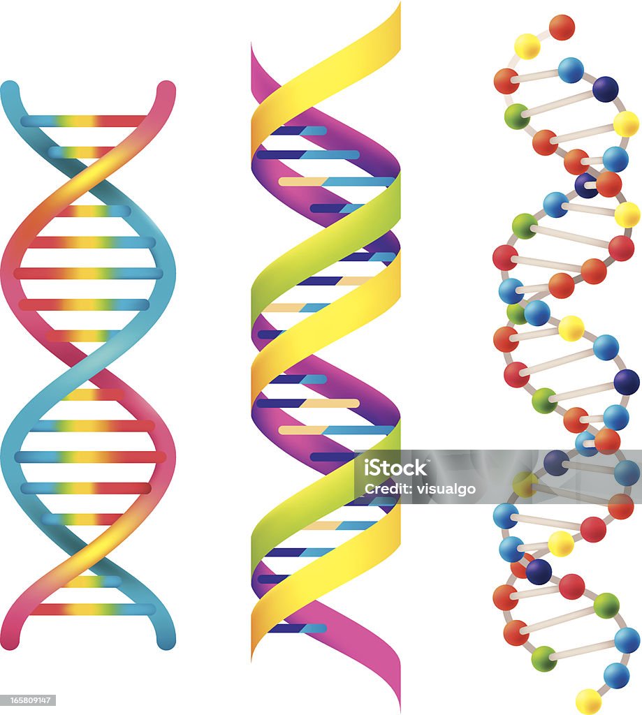 IL DNA - arte vettoriale royalty-free di DNA