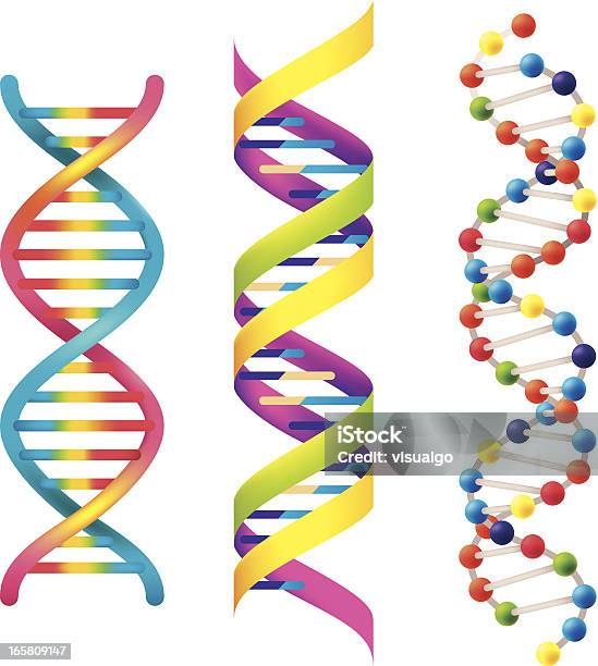 の Dna - DNAのベクターアート素材や画像を多数ご用意 - DNA, 螺旋形, ヘリックス模型