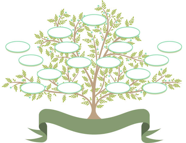 ilustraciones, imágenes clip art, dibujos animados e iconos de stock de árbol genealógico - árbol genealógico